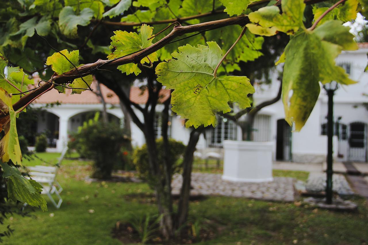 Chiara Lodge Chacras de Coria Bagian luar foto